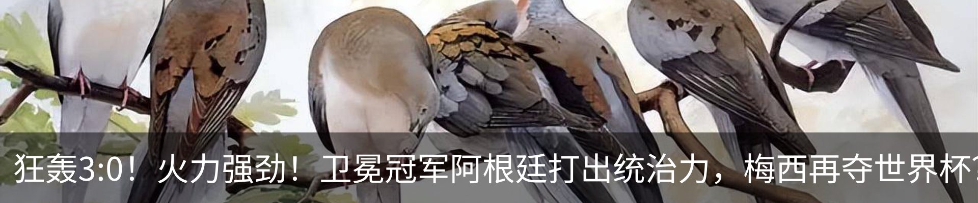 行业资讯